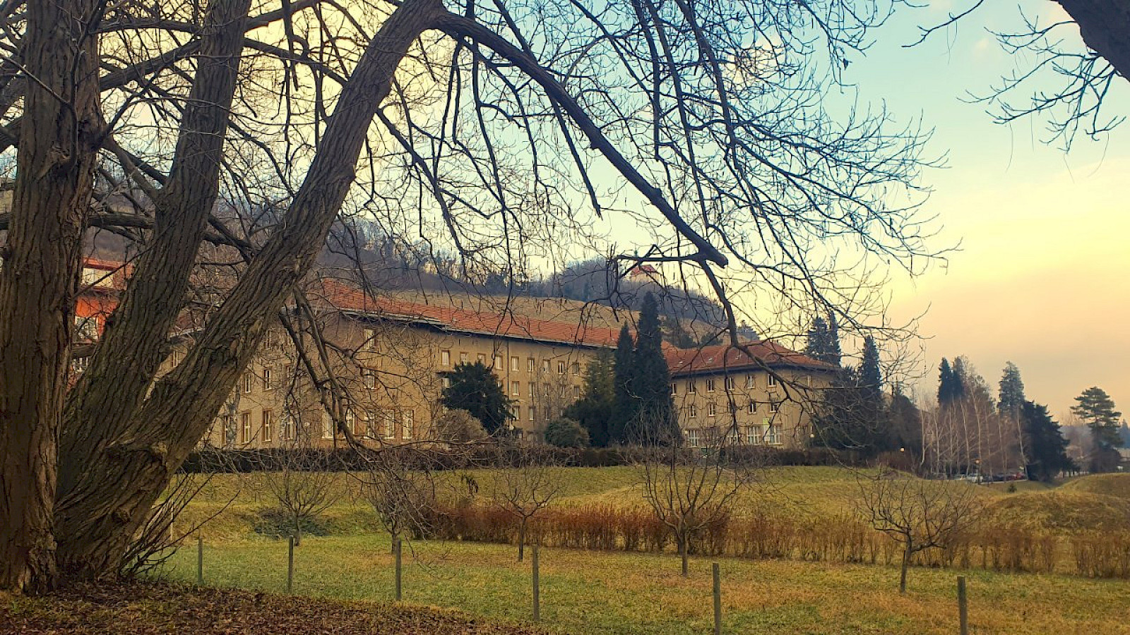 Delavnice na Biotehni&scaron;ki &scaron;oli Maribor
